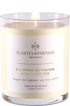 Plantes & Parfums Natuurlijke Under the Fig Tree Soja Was Geurkaars  (tevens handcrème) I Frisse Geur I 180g I 40u