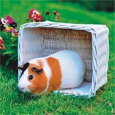 3D wenskaart guinea pig back to nature