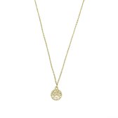 Muntje met panterprint ketting - Goud  - 40 cm