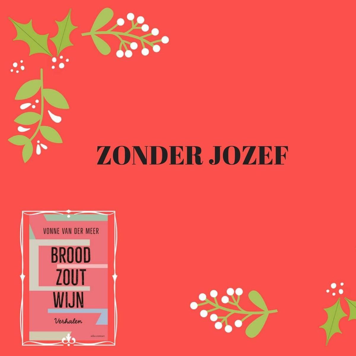 Zonder Jozef (ebook), Vonne van der Meer | 9789025452742 | Boeken | bol.com