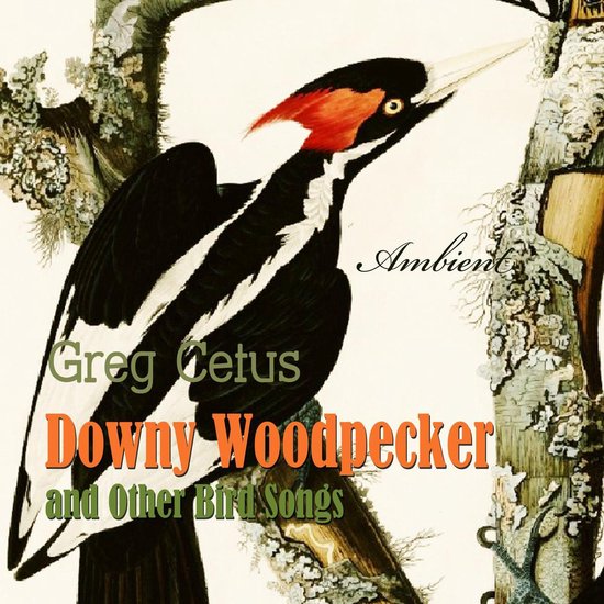 Downy Woodpecker and Other Bird Songs - cover
