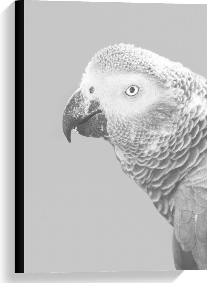 KuijsFotoprint Canvas - Papegaai in het zwart/wit - 40x60cm Foto op Canvas Schilderij (Wanddecoratie op Canvas)