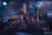 Pyramid Harry Potter Hogwarts  Poster - 91,5x61cm