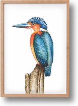 World of Mies poster ijsvogel - A4 - mooi dik papier - Snel verzonden! - vogel - dieren in aquarel - geschilderd door Mies