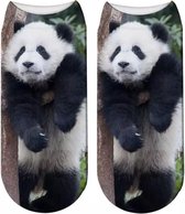 Enkelsokken Panda - Pandaberen enkelsokken - Fotoprint - Unisex Maat 36-41