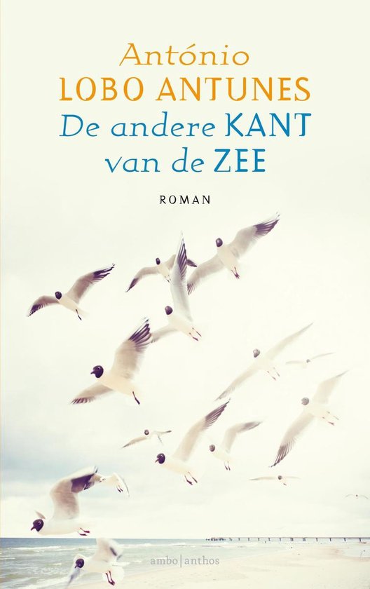 De andere kant van de zee - cover
