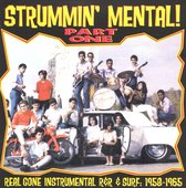 Various Artists - Strummin' Mental 1 (CD)
