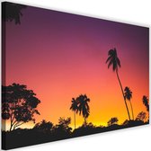 Schilderij Roze lucht en palmbomen, 2 maten, Premium print