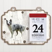 Scheurkalender 2023 Hond: Bordercollie