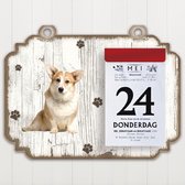 Scheurkalender 2023 Hond: Welsh Corgi Pembroke