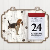 Scheurkalender 2023 Hond: Beagle
