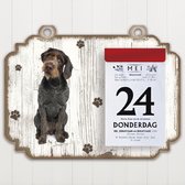 Scheurkalender 2023 Hond: Duitse Staande Hond Draadhaar