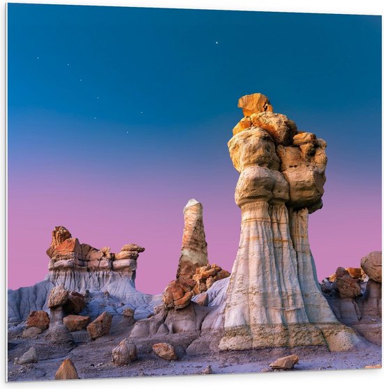 Forex - Bisti/De-Na-Zin Wilderness - New Mexico - Foto op Forex