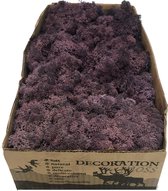 MosBiz Rendiermos Aubergine per 500 gram voor decoraties en mosschilderijen