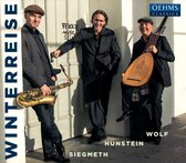 Axel Wolf, Hugo Siegmeth, Stefan Hunstein - Winterreise After Franz Schubert (CD)