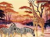 Giraffe & Zebra Schilderen op Nummer Volwassenen & Kinderen met Frame – Paint By Number met Canvas Schildersdoek 40x50 & Acrylverf