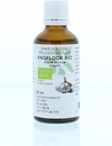 Allium Sat Bulk/Knoflook   Cru