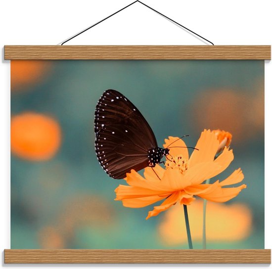 Schoolplaat – Zwarte Vlinder met Witte Stippen op Oranje Bloem - 40x30cm Foto op Textielposter (Wanddecoratie op Schoolplaat)