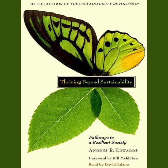 Thriving Beyond Sustainability - cover