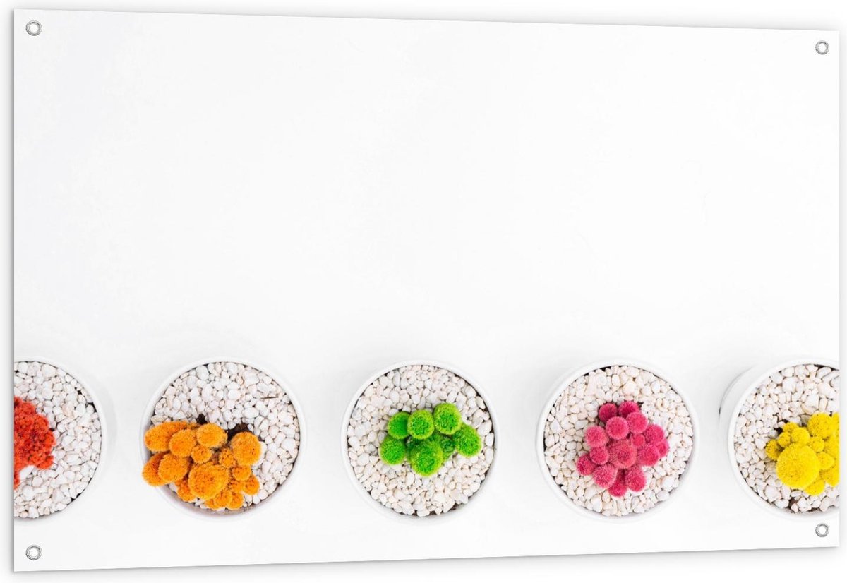 Tuinposter – Gekleurde Cactuspotjes - 120x80cm Foto op Tuinposter (wanddecoratie voor buit
