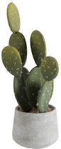 J-Line Cactus+Pot Groen/Cement Small