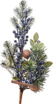 Tak blauwe bes frost h50cm groen