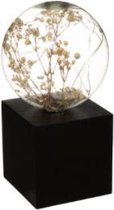 Atmosphera lamp gedroogde bloemen zwart - LED - H17 cm - Tafellamp - Nachtlamp - Sfeerverlichting