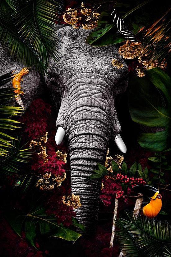 WallQ Tropical Jungle Elephant | Poster op Dibond | Wanddecoratie | Muur foto | 120x180 cm