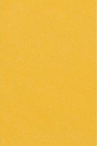 Amscan Tafelkleed Geel 137 X 274 Cm