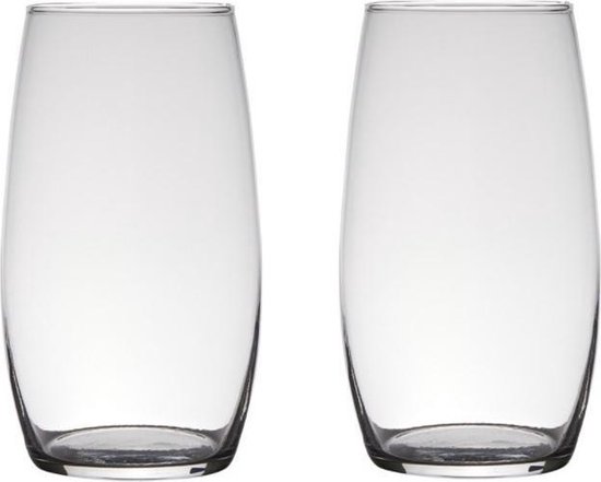 Set van 2x stuks transparante home-basics vaas/vazen van glas 25 x 14 cm - Bloemen/takken/boeketten vaas voor binnen gebruik