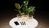 Greensens starter plantenverzorging set - Inclusief 3 sensoren op zonne-energie
