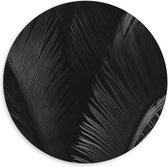 Dibond Wandcirkel - Pauwenveren (zwart/wit) - 60x60cm Foto op Aluminium Wandcirkel (met ophangsysteem)