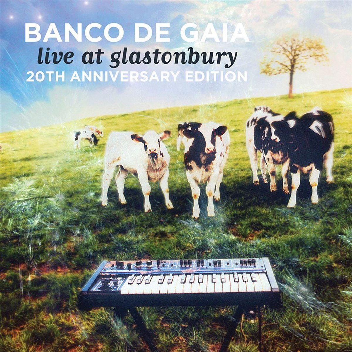 Live at Glastonbury