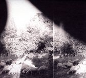 Godspeed You! Black Emperor - Asunder, Sweet And Other Distress (LP)
