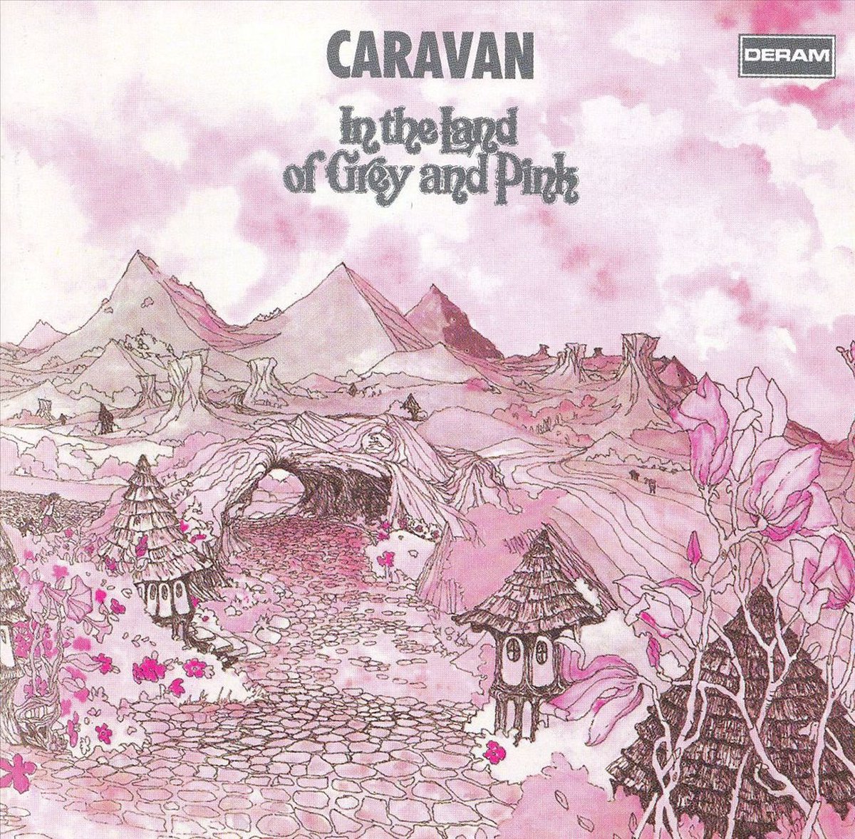 In The Land Of Grey And Pink