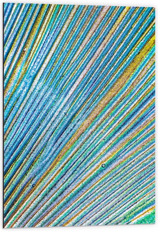 Dibond - Verschillende Kleuren Glitters - 60x90cm Foto op Aluminium (Wanddecoratie van metaal)