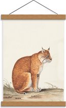Schoolplaat – zittende Kat - 30x40cm Foto op Textielposter (Wanddecoratie op Schoolplaat)