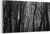 Schilderij - Hoia Baciu Forest — 90x60 cm