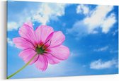Schilderij - Roze bloem , geïsoleerd met blauwe hemel — 90x60 cm
