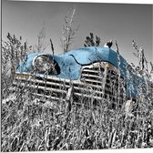 Dibond - Blauwe Retro Auto in Gras - 80x80cm Foto op Aluminium (Wanddecoratie van metaal)