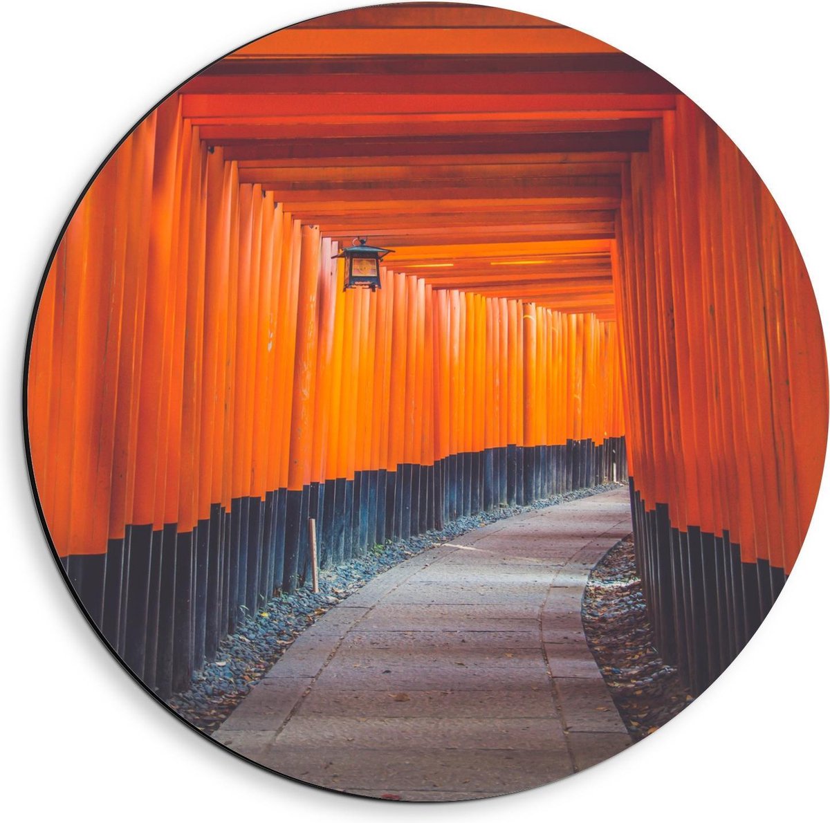 Dibond Wandcirkel - Gang van Oranje Palen - 40x40cm Foto op Aluminium Wandcirkel (met opha