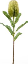 Kunstbloem Banksia groen 65 cm