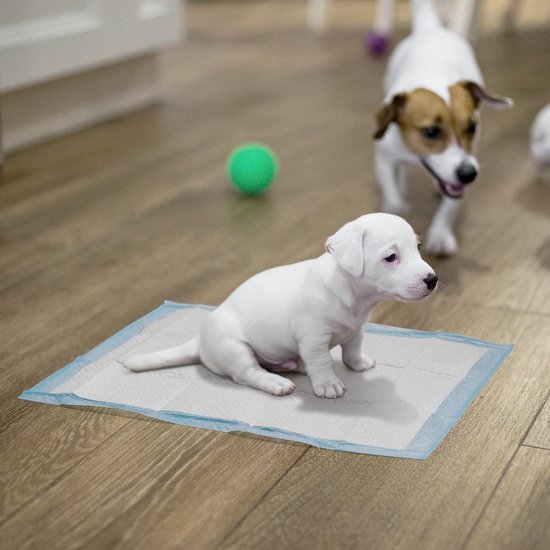 Plasdoek Hond: Absorberend en Wasbaar voor Thuis