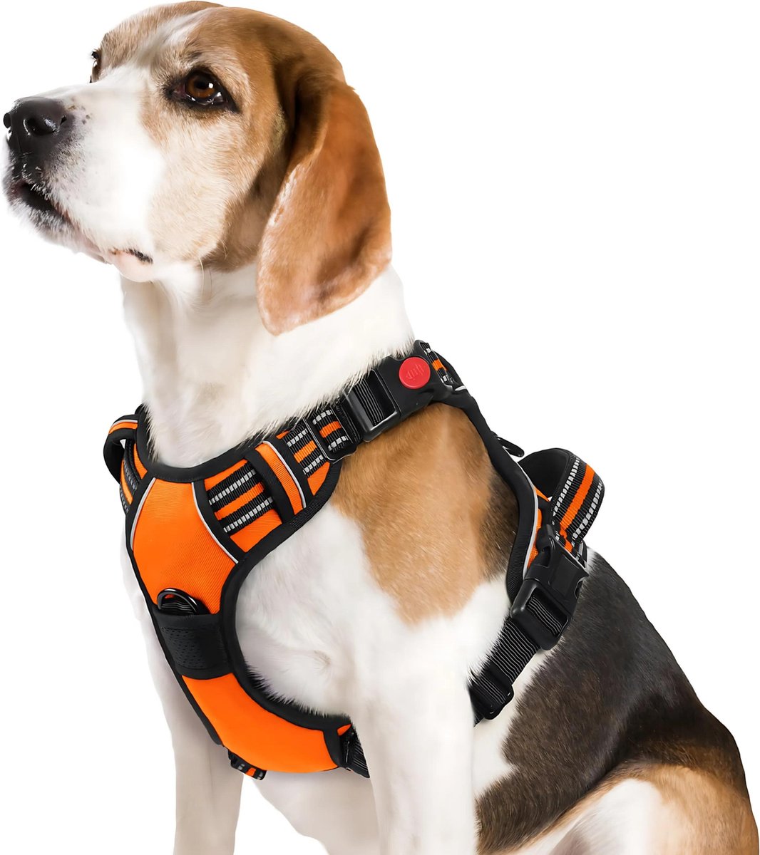 JAXY Hondenharnas - Hondentuig - Hondentuigje Kleine Hond - Y Tuig Hond - Harnas Hond - Anti Trek Tuig Hond - Reflecterend - Maat M - Oranje