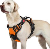 JAXY Harnais pour chien - Harnais pour chien - Harnais pour chien petit chien - Harnais Y pour chien - Harnais pour chien - Harnais anti- Trek pour chien - Réfléchissant - Taille L - Oranje