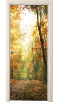 Deurposter 80x205 cm - Deursticker Bos - Herfst - Zon - Landschap - Natuur - Bomen - Bladeren - Meubelfolie zelfklevend - Deurfolie woonkamer - Interieurfolie fotobehang - Deur plakfolie - Deurstickers - Deurbehang sticker - Kamer decoratie