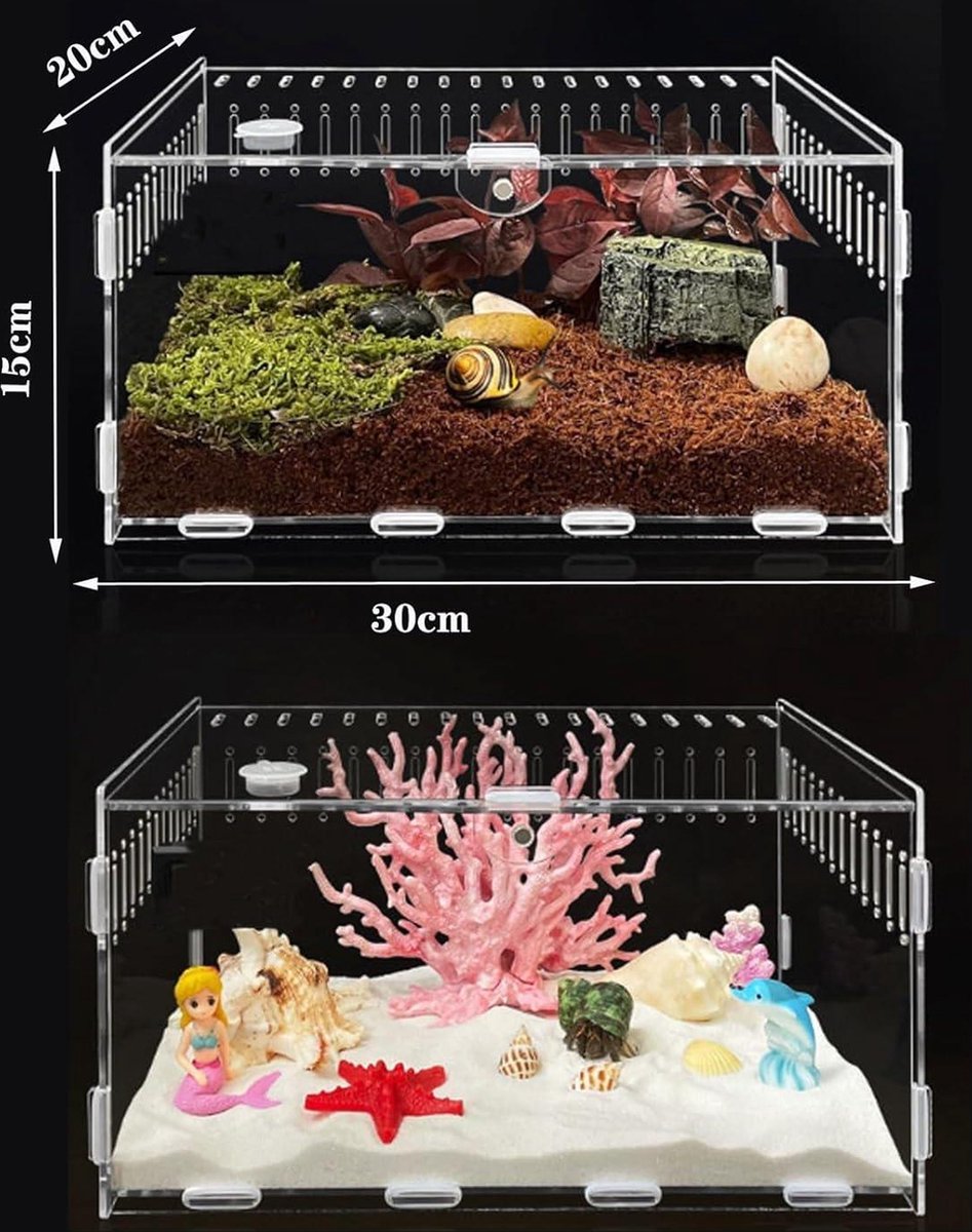 Doorzichtige Doe-Het-Zelf Terrariumdoos - Voor Insecten En Spinnen 15x12x14 Cm