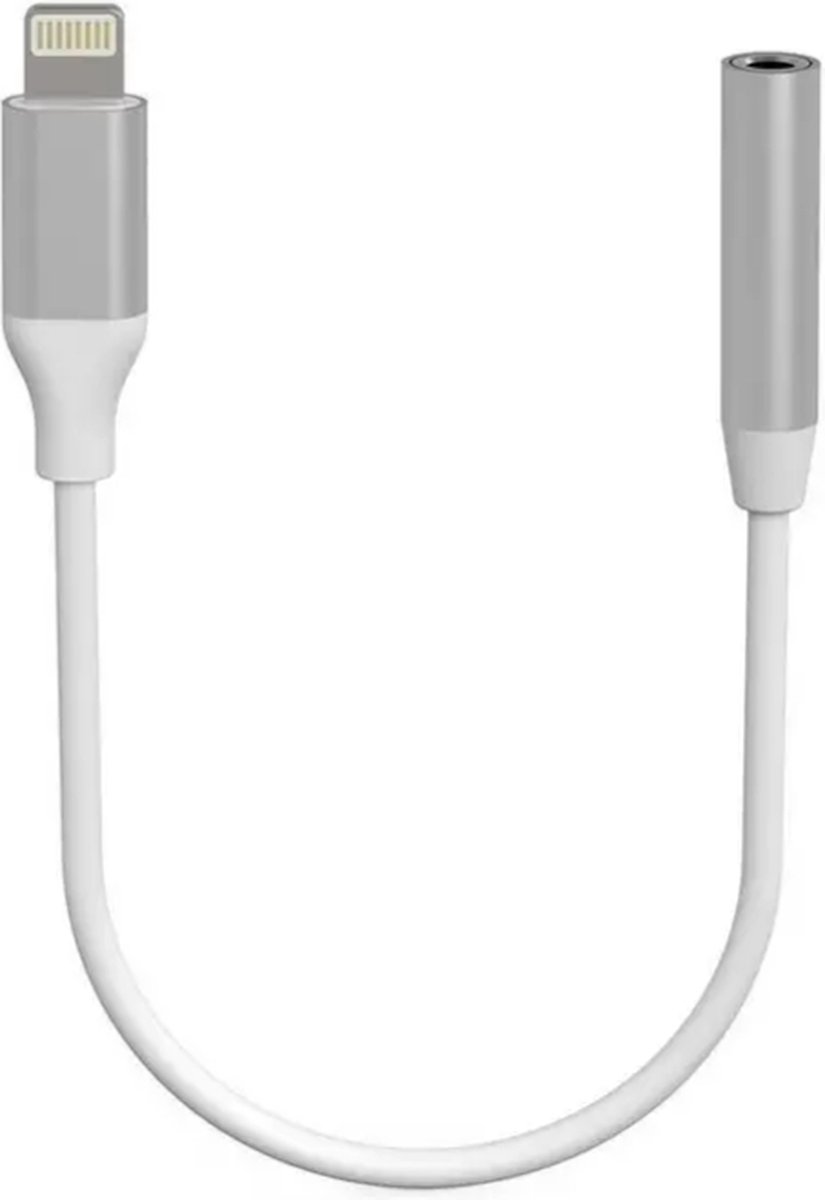 XLayer - Lightning naar AUX Adapter - iPhone Compatibel - Muziek & Bellen - 15cm