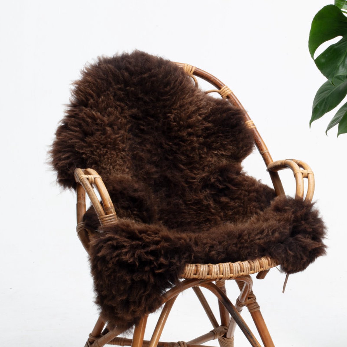 SHEEPY® | Schapenvacht | Filip (Bruin) XL (110-115cm) - Sheepy.cc