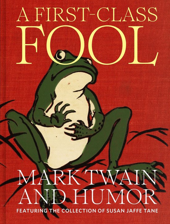 A First-Class Fool - cover